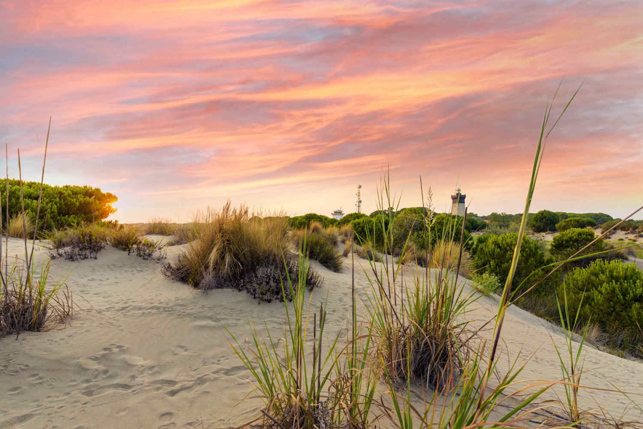 plage-grau-du-roi.jpg -