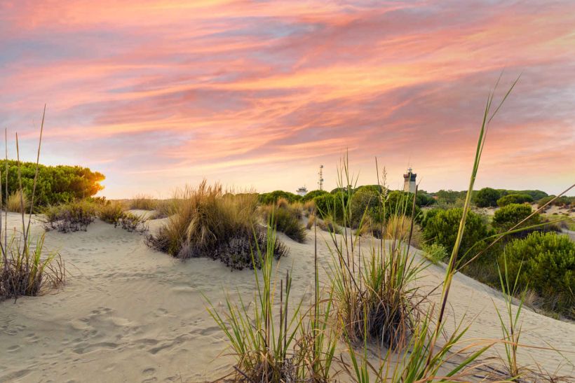 plage-grau-du-roi.jpg -