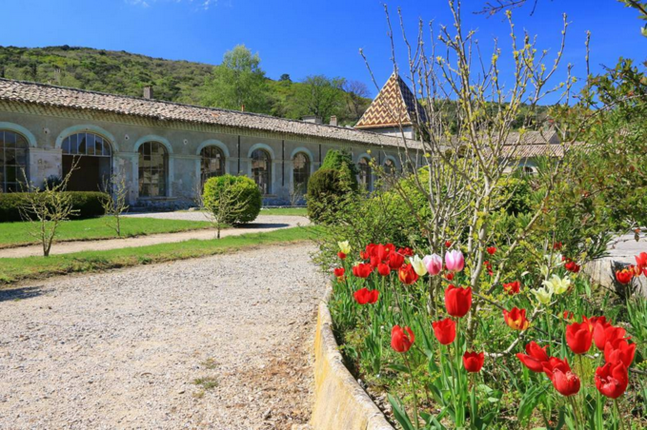 chartreuse-de-la-valbonne.png -