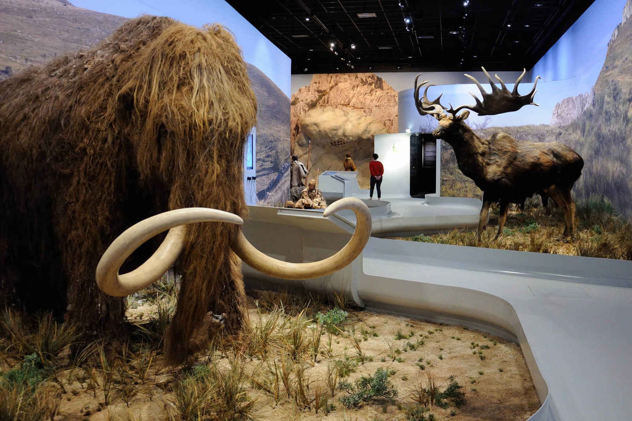 grotte-chauvet-2-mamouth.jpg -