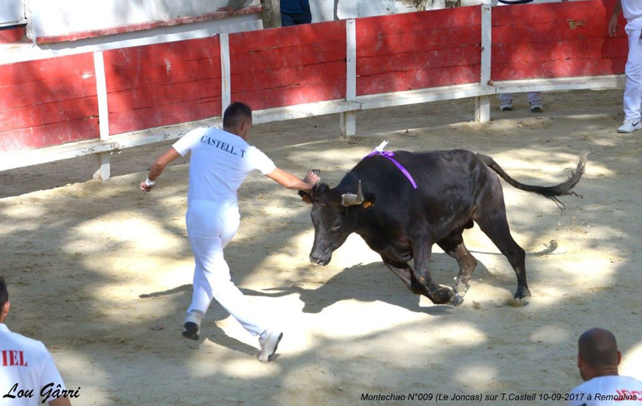 manade-du-joncas-course-camarguaise-arene.jpg -