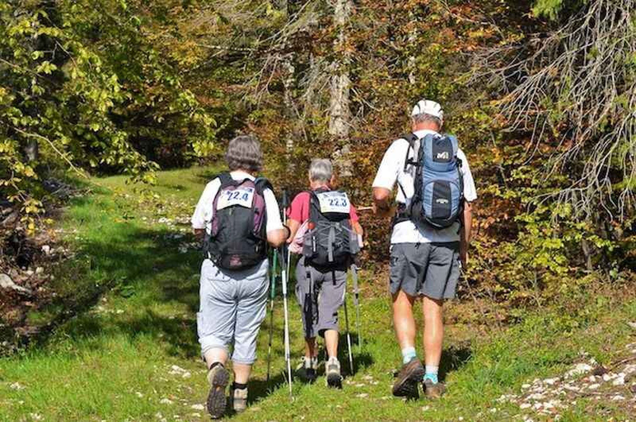 marche-nordique-course.jpg -