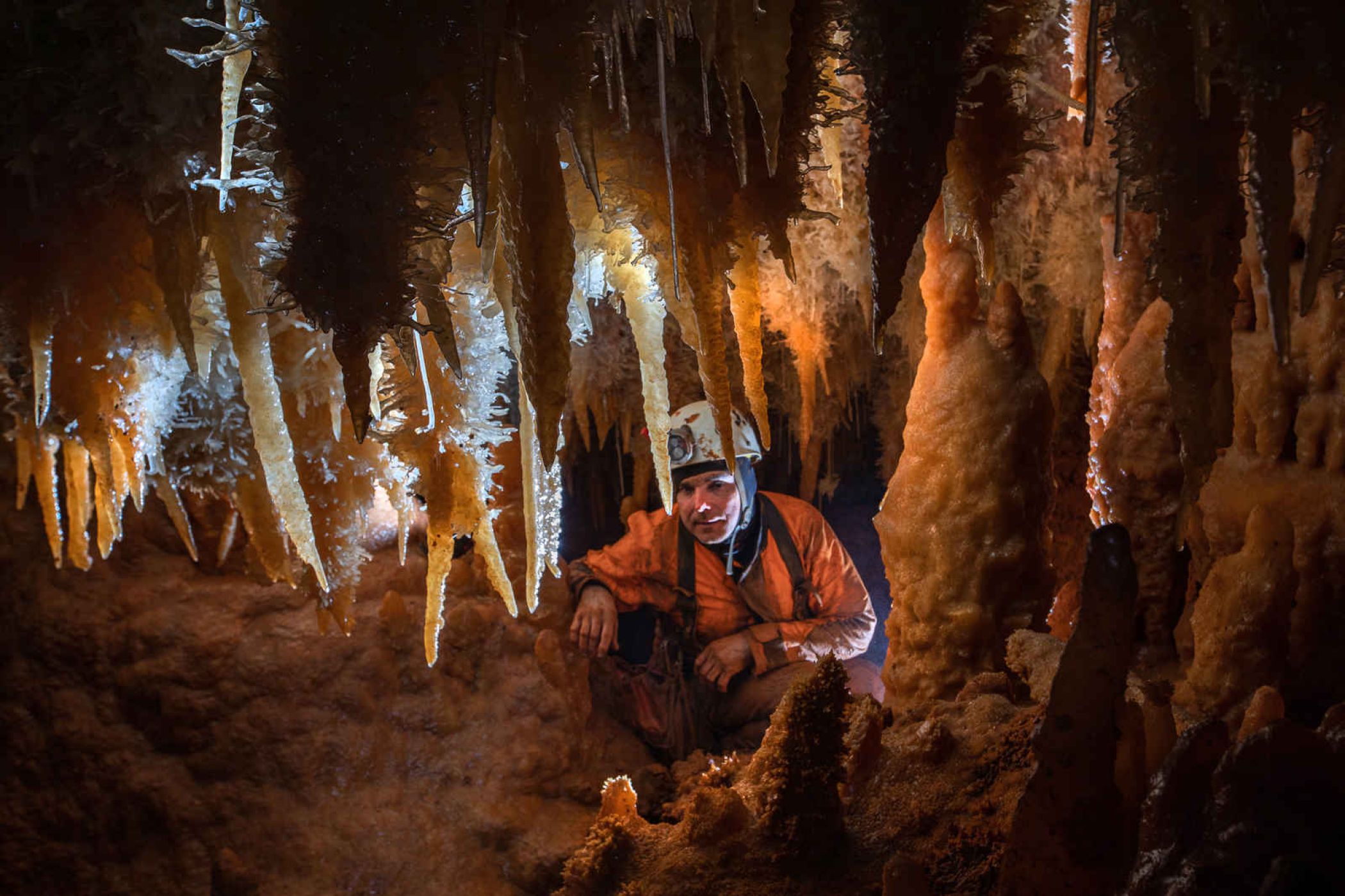 aven-armedia-gard-3-.jpg -