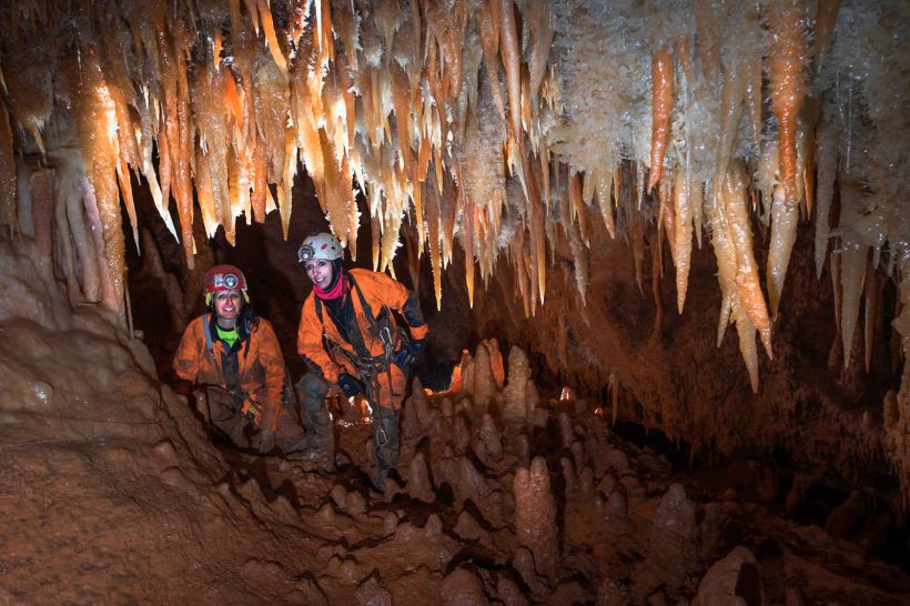 aven-armedia-gard-4-.jpg -