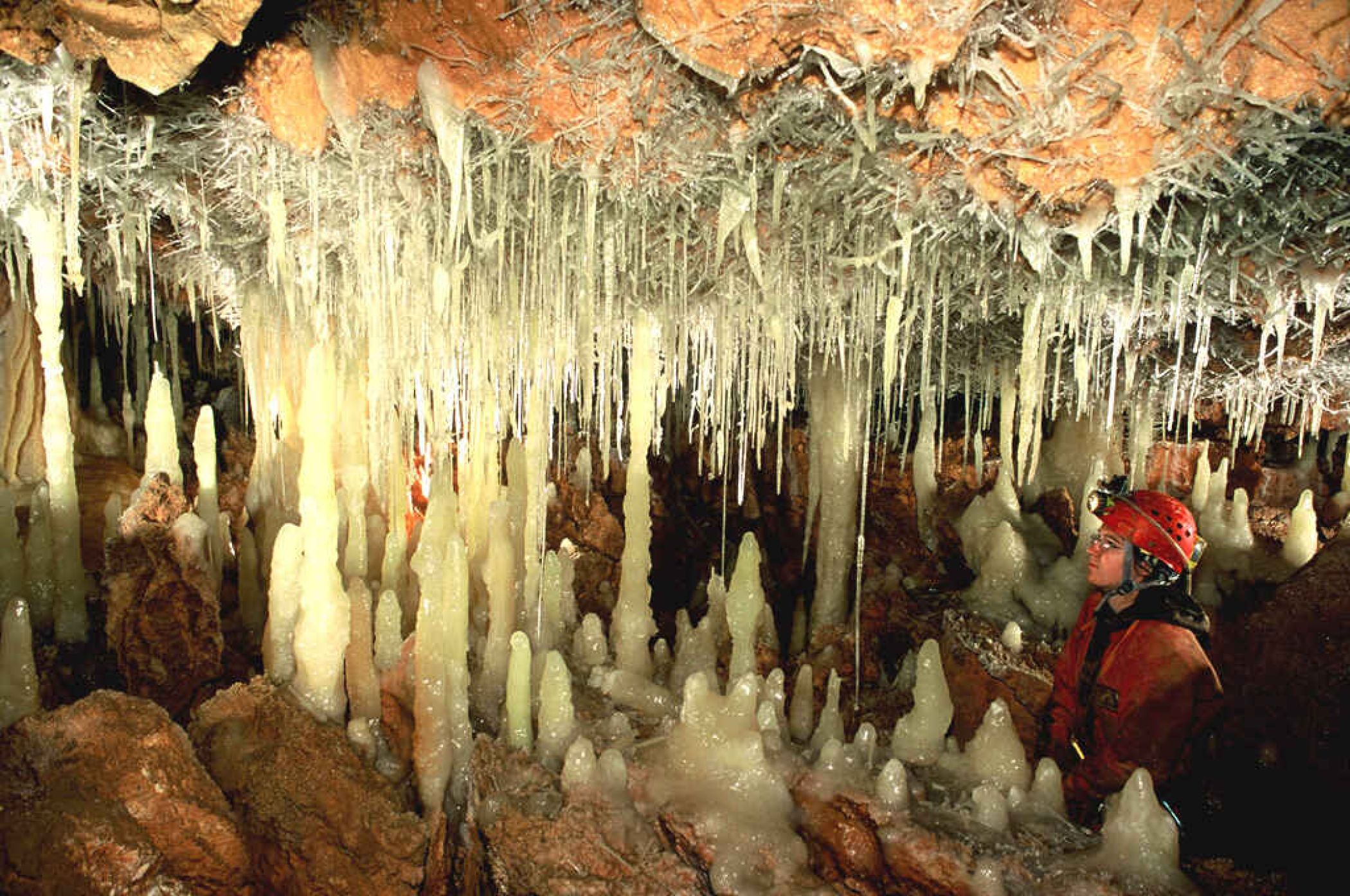 aven-de-la-buse---horizontale.jpg -