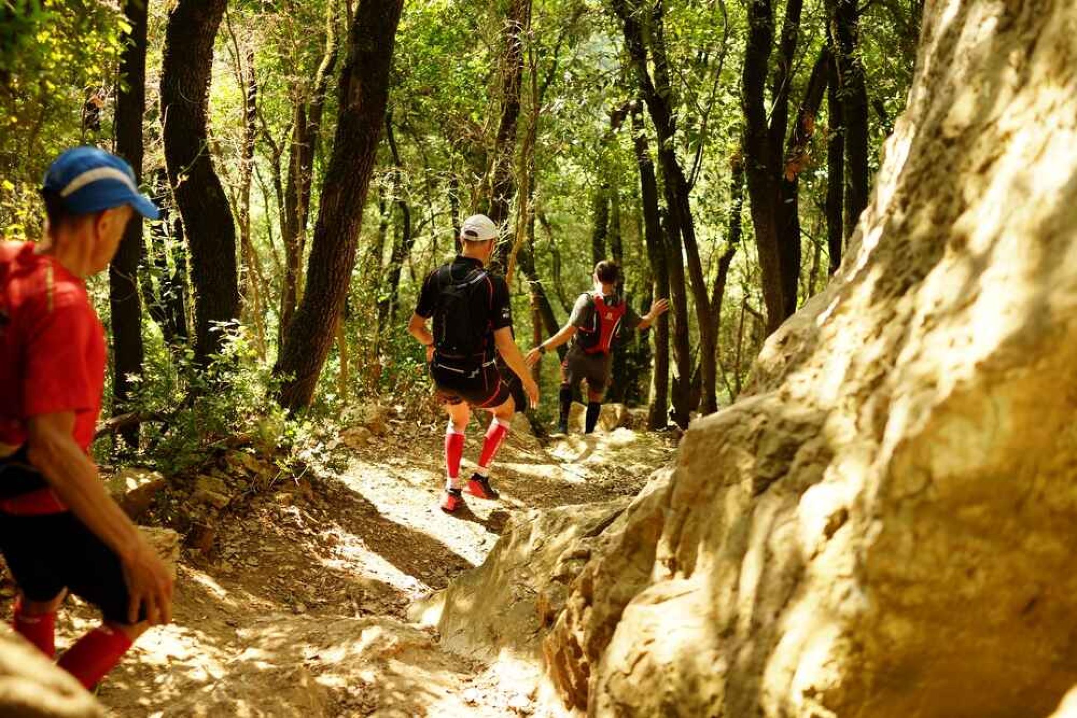 trail-des-avens.jpg -