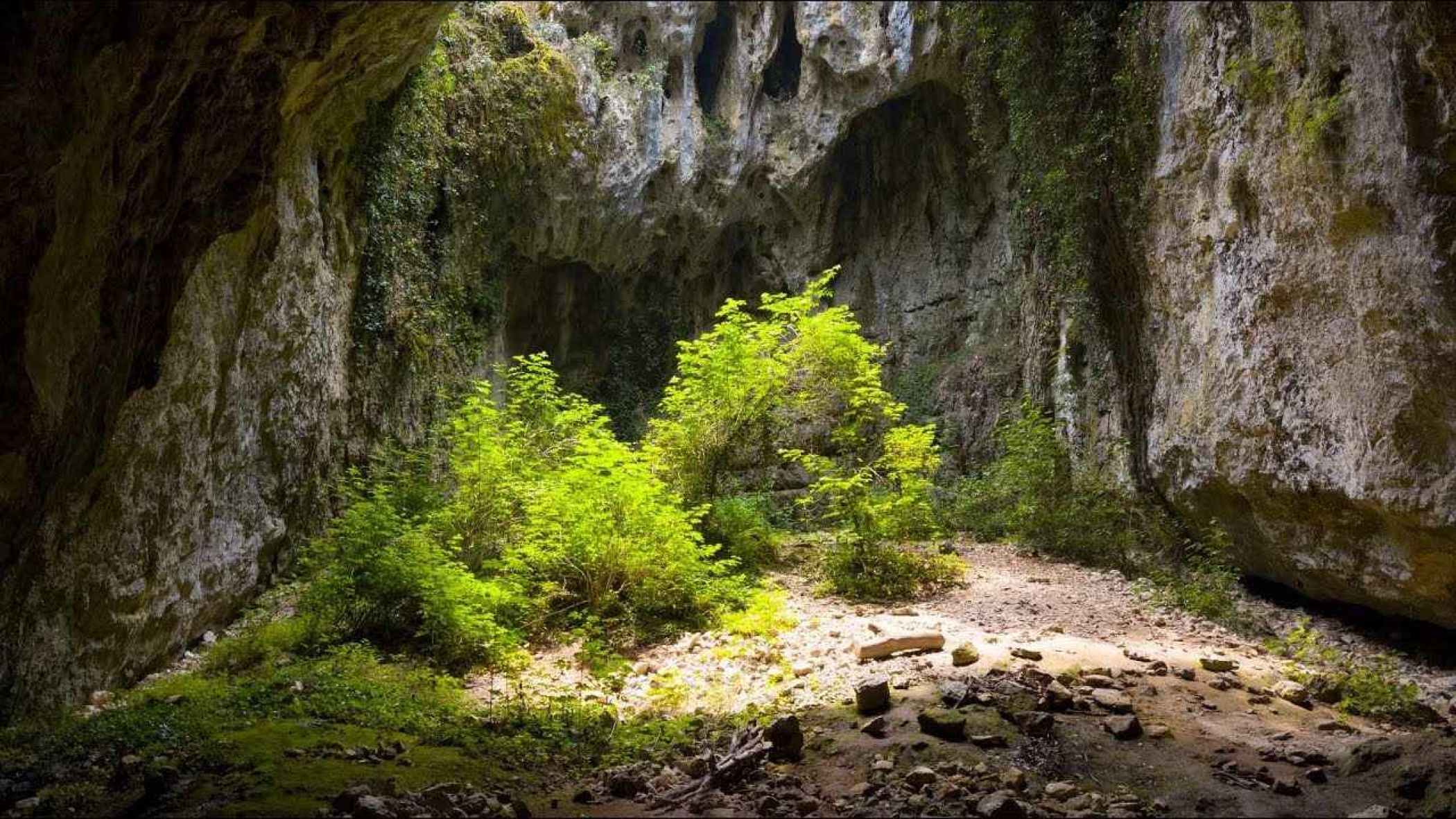 aven-peyre-haute.jpg -