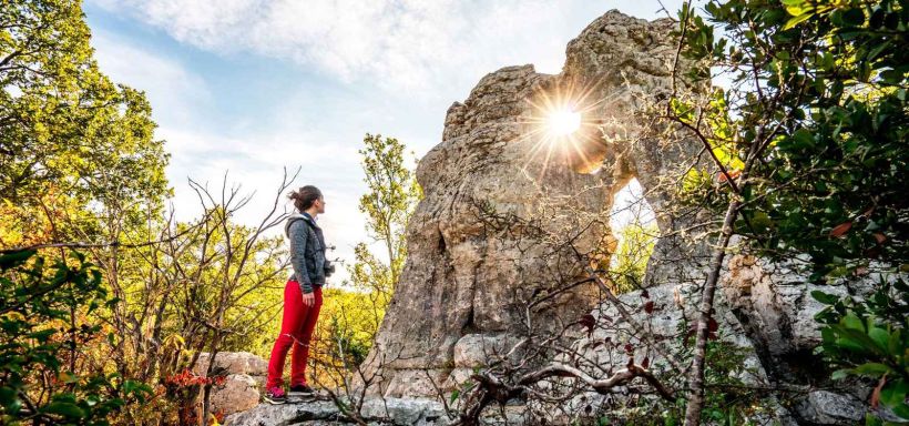 bois-de-paiolive.jpg -