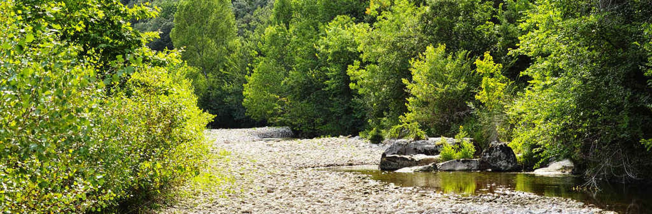 mejannes-le-clap-plateau-1.jpg -