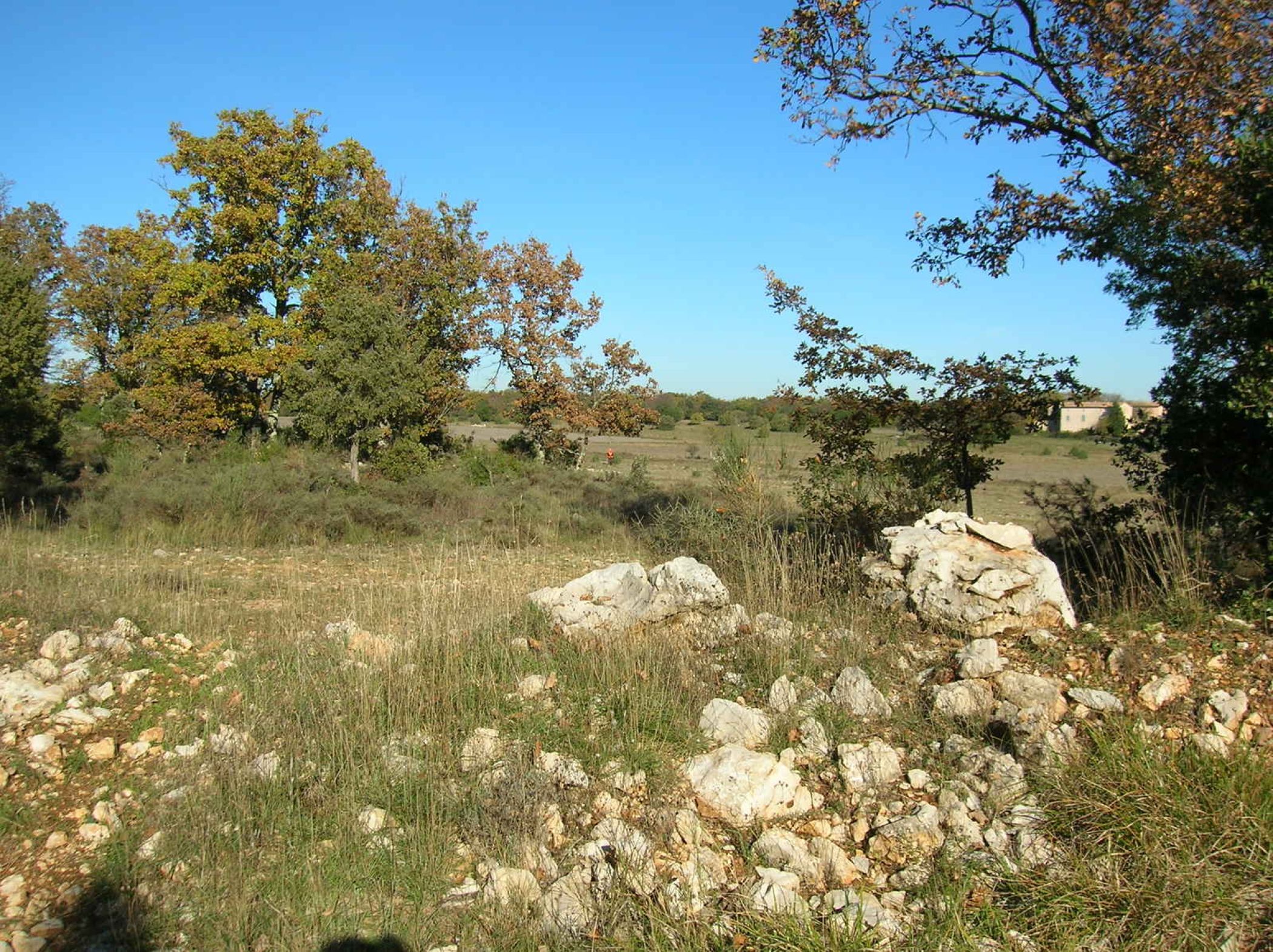 mejannes-le-clap-plateau-garrigue.jpg -
