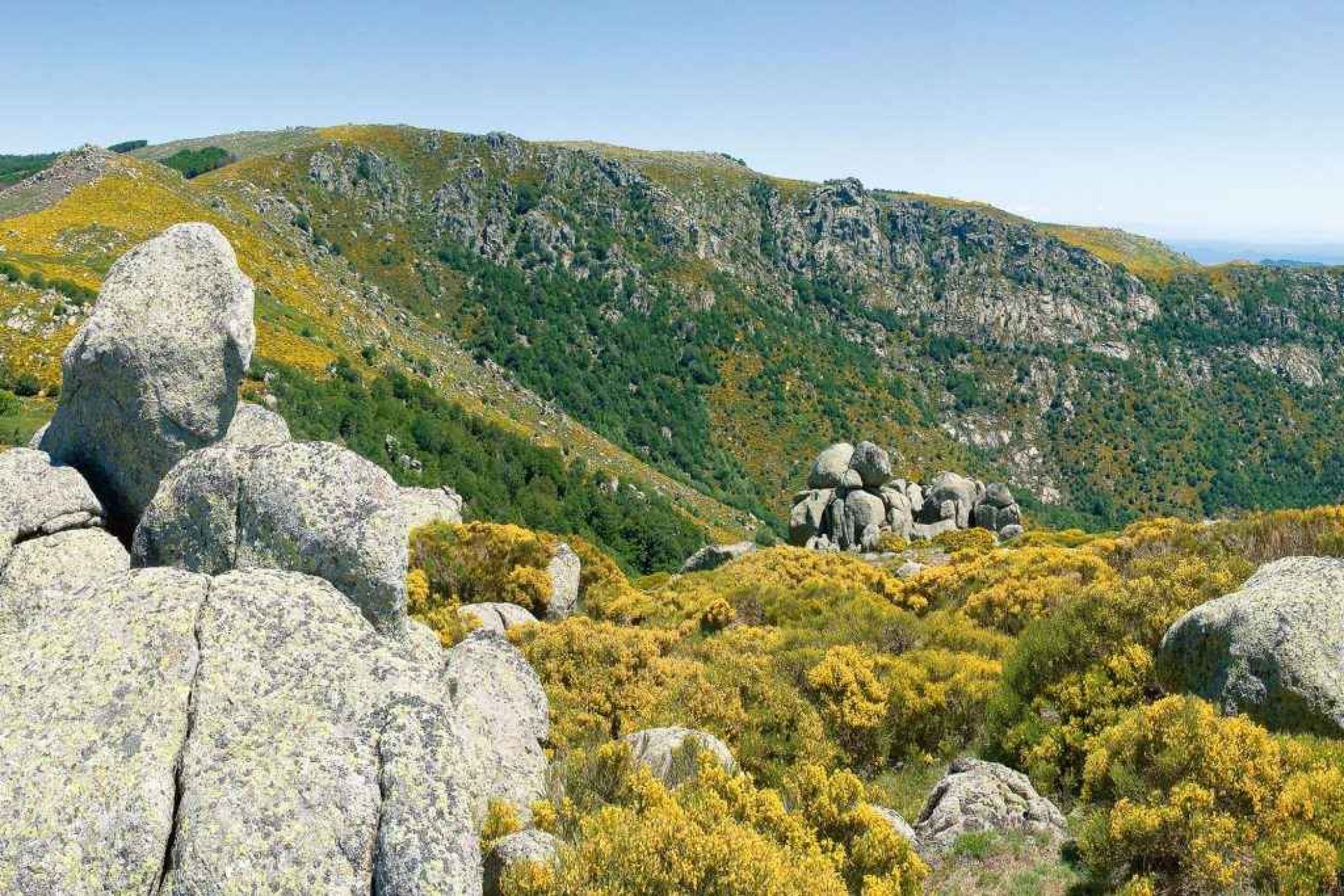 mont-lozere-causse.jpg -