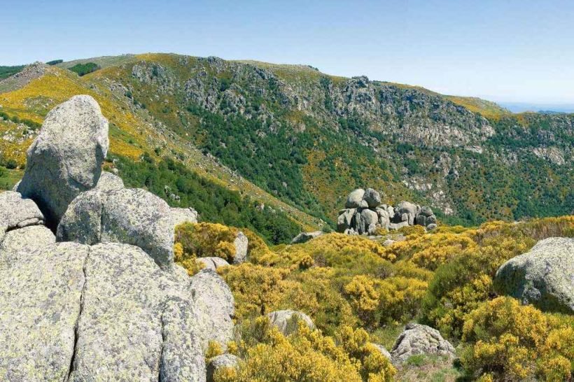 mont-lozere-causse.jpg -