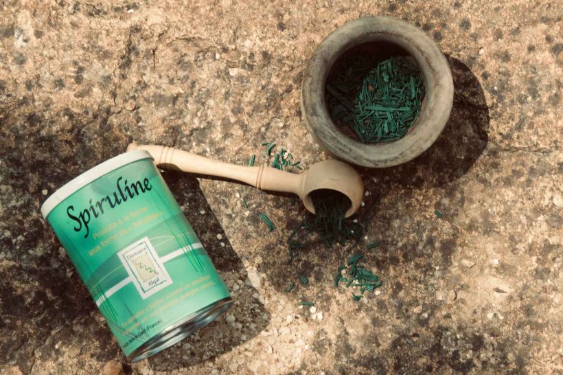 spiruline-brindille.jpg -